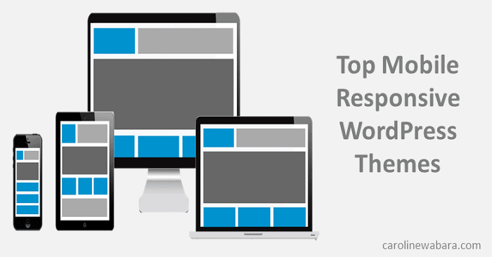 5 Mobile Responsive Wordpress Themes for Nigerian Websites - Caroline ...